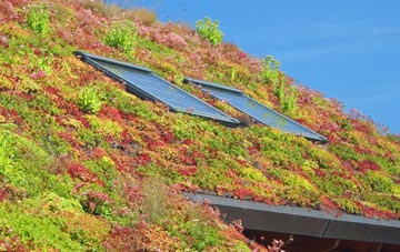 Chapmore End living roof systems